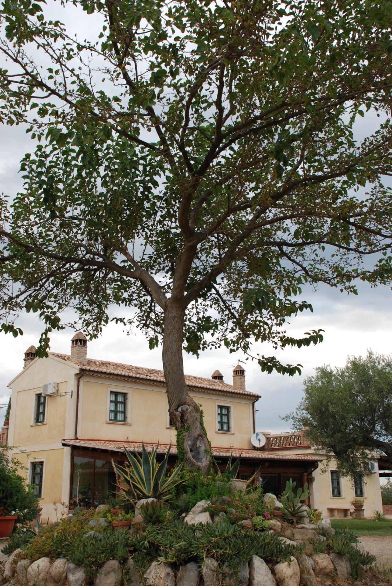 Agriturismo Casacchella Marina di Sibari Room photo